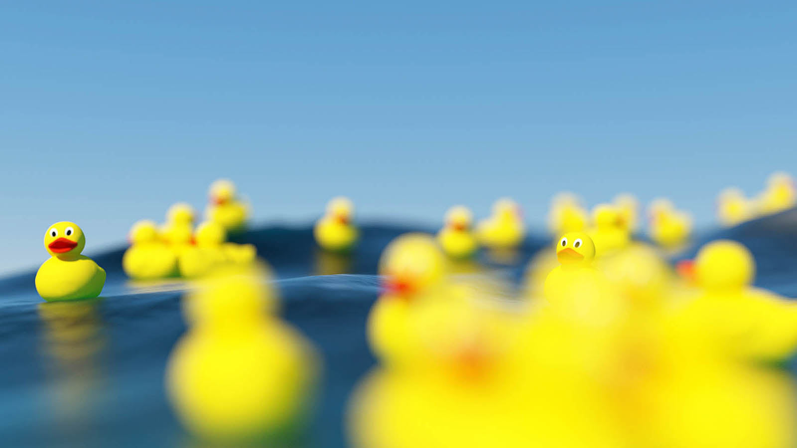 Blue Ducks Needs Your Help: Join Our Annual Mental Health Survey